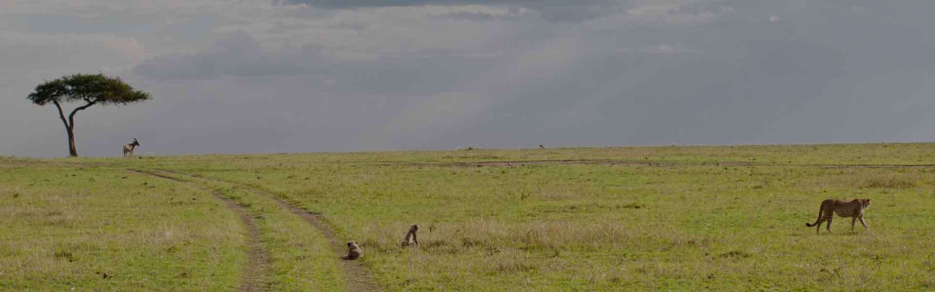 Serengeti National Park