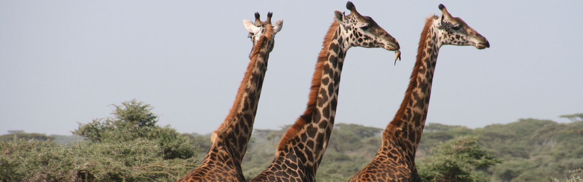 Arusha National Park