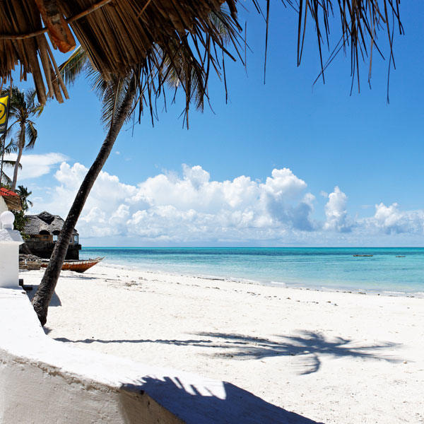 Zanzibar Beach Excursions