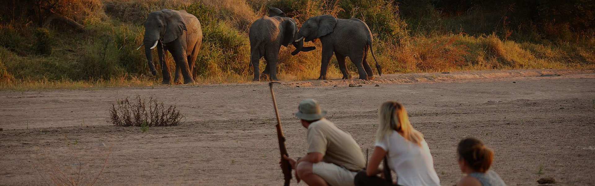 Best Tanzania Walking Safari