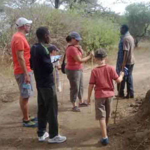 Best Tanzania Family Safari