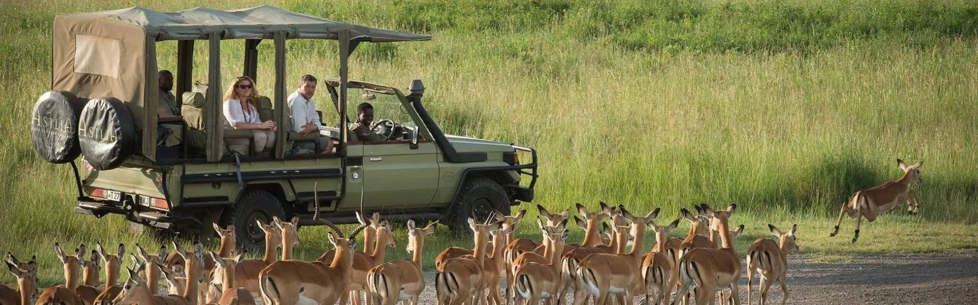 Tanzania WIldlife Safari